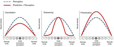 Theoretical Perspective on an Ideomotor Brain-Computer Interface: Toward a Naturalistic and Non-invasive Brain-Computer Interface Paradigm Based on Action-Effect Representation